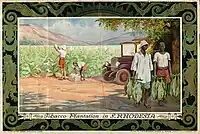 "Tobacco Plantation in S. Rhodesia"Illustration for the Empire Marketing Board (1928).