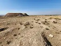 November 4, 2022, Bakr Awa mound. An area before the tell pockmarked with looters' pits