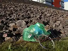 The result of 1 h of plogging in Fräntorp (Sweden) on May 31, 2020.