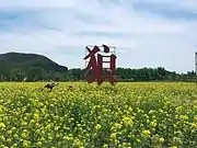 A field of yellow rapeseed flowers in Mount Langya, with a sign of the first character lang of Mount Langya's name.