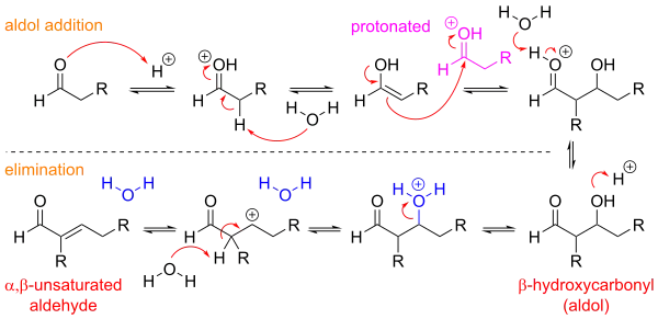 A mechanism for aldol condensation in acidic conditions, which occurs through enol intermediates and an elimination reaction.