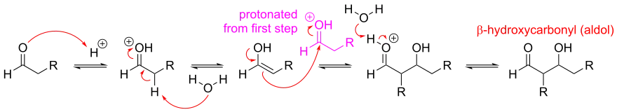 Mechanism for acid-catalyzed aldol reaction of an aldehyde with itself