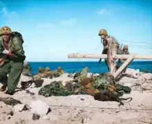 Marines crossing Japanese-laid barbed wire in Betio Island (colorized)