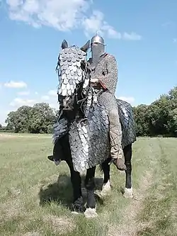 Historical re-enactment of a Sassanid-era cataphract.