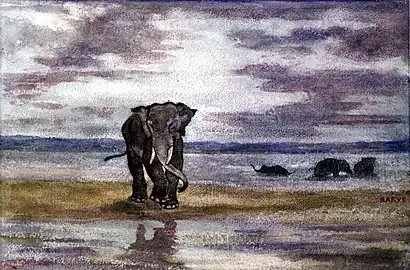 Elephants in Water (Walters Art Museum)