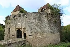 The chateau of Rochefort