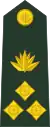 Brigadier general(Bengali: ব্রিগেডিয়ার জেনারেল, romanized:&nbsp;Brigēḍiẏāra jēnārēla)(Bangladesh Army)