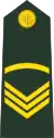 Sergeant(Bengali: সার্জেন্ট, romanized: Sārjēnṭa)(Bangladesh Army)