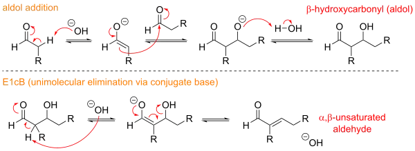A mechanism for aldol condensation in basic conditions, which occurs via enolate intermediates and E1CB elimination.