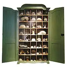 Image 2An early 18th-century German  Schrank with a traditional display of corals, from the Naturkundemuseum, Berlin