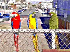 EGA 640&nbsp;×&nbsp;350&nbsp;×&nbsp;16 colors, EGA palette.