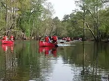 Image 18Boy Scouts canoeing on the Blackwater River, Virginia