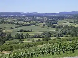 Countryside of Keltern