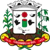 Official seal of Caxambu do Sul