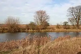 Fishing pond on Grainthorpe Fen