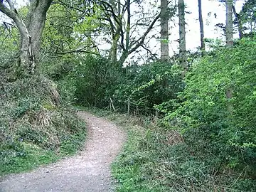 Bridle path adjacent to Craig-y-nos Country Park