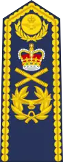 Marshal of the Royal Air Force (shoulder board)