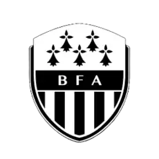 Shirt badge/Association crest