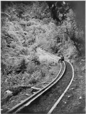 Price's Bush Tramway, 1903