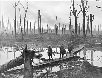 Image 6PasschendaelePhoto credit: James Francis HurleySoldiers of an Australian 4th Division field artillery brigade on a duckboard track passing through Chateau Wood, near Hooge in the Ypres salient, October 29, 1917. The photo was taken in the vicinity of the Battle of Passchendaele, also known as the Third Battle of Ypres, which was one of the major battles of World War I.More selected pictures