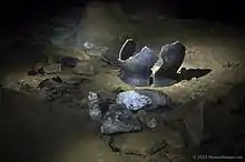 Image 14Che Chem Ha Cave (from Tourism in Belize)