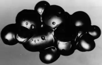 Cluster of ice grains in wet snow at a low liquid content—grain crystals range 0.5 to 1.0&nbsp;mm.