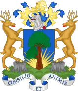 Coat of Arms of the Municipal Borough of Surbiton