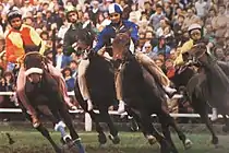Horse race at the Palio di Legnano 1979. From left to right we can recognize the jockeys Canapino (Leonardo Viti), Truciolo (Mario Cottone), Aceto (Andrea Degortes) and Noce (Luigi Croci)