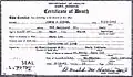 Front of Death Certificate for John Otto Siegel(With errors)
