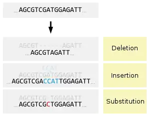 Image 9Types of small-scale mutations (from Mutation)