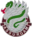 626th Brigade Support Battalion"Assurgam"