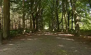 Doorn, heath: the Dartheide