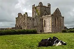 Dunbrody Abbey lies 1&nbsp;km west of Campile