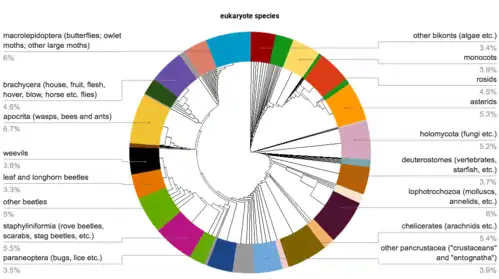 About half of all eukaryotes are insects(left side of diagram).