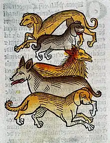 Image 2"Five different types of dogs", c. 1547. (from Dog breed)