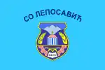 Flag of Leposavić
