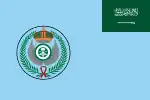 Flag of the Royal Saudi Air Force (Seal). (Ratio: 2:3)