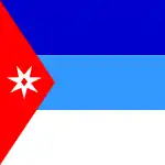 Flag of Wassoulou Empire