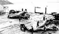 Flensing whales at Akutan, ca. 1915