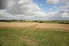a field of standing wheat, with a bare fotpath going straight up from where we stand. Above all a rolling seies of cumulus clouds crwod an otherwise blue sky. The terrain to the distant woodland on the horizon is tiny, loosely rolling, low hills. The immediate nearground is a field margin of low green grasses.