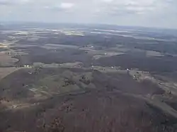 Forests in southeastern Washington Township