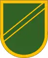 –US Army Forces Command, 553rd Military Police Company–101st Airborne Division, 101st Military Police Company