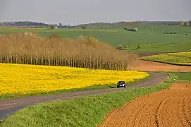 Simple roads (with only two lanes) like the D978 near of Logny-Bogny, Ardennes are nowadays usually limited to 80&nbsp;km/h, in their interurban parts