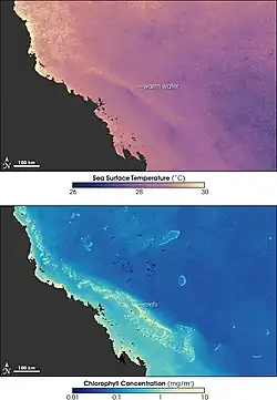 Image 12Sea temperature and bleaching of the Great Barrier Reef (from Environmental threats to the Great Barrier Reef)