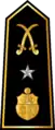 Général de brigade(Arabic: أمير لواء, romanized:&nbsp;'amir liwa')(Tunisian Army)