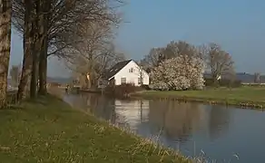 Farmhouse at the Muskushouwstraat