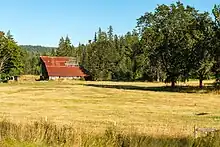 The barn has a rusted steel roof, and is in the background of this image, located in a large field of yellow-brown (late-summer) grass.