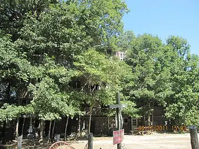 Horace Burgess's Treehouse – claimed to be the world's largest, this rambling treehouse was built over the years by a Tennessee minister.