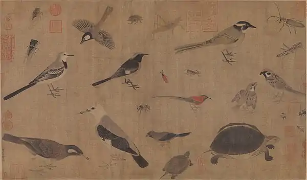 Image 23Description of rare animals (写生珍禽图), by Huang Quan (903–965) during the Song dynasty. (from History of biology)