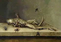 Image 19Dead Frog with Flies by Ambrosius Bosschaert II, c. 1630 (from Frogs in culture)